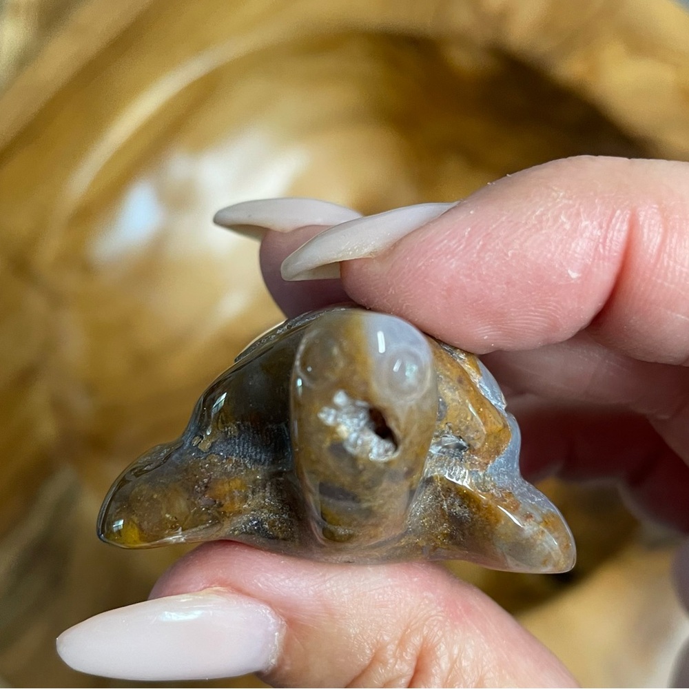 Polished Brown Stone Turtle Figurine. Miss agate crystal